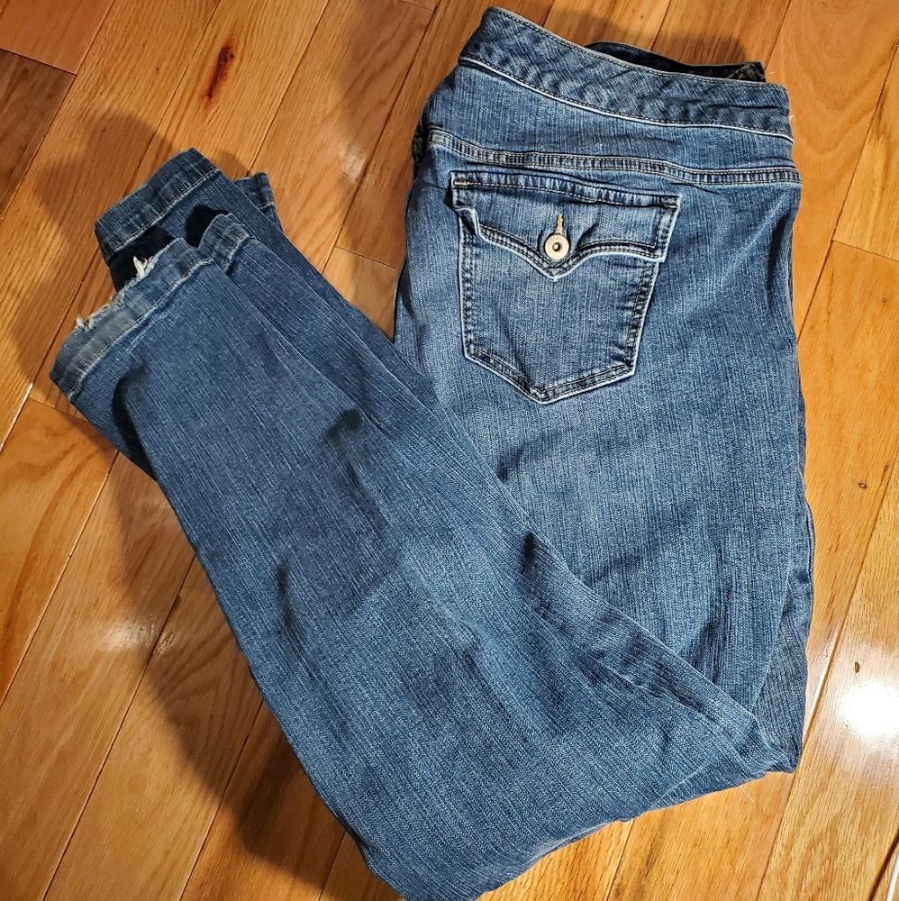 Torrid jeans sz.20 SHORT
